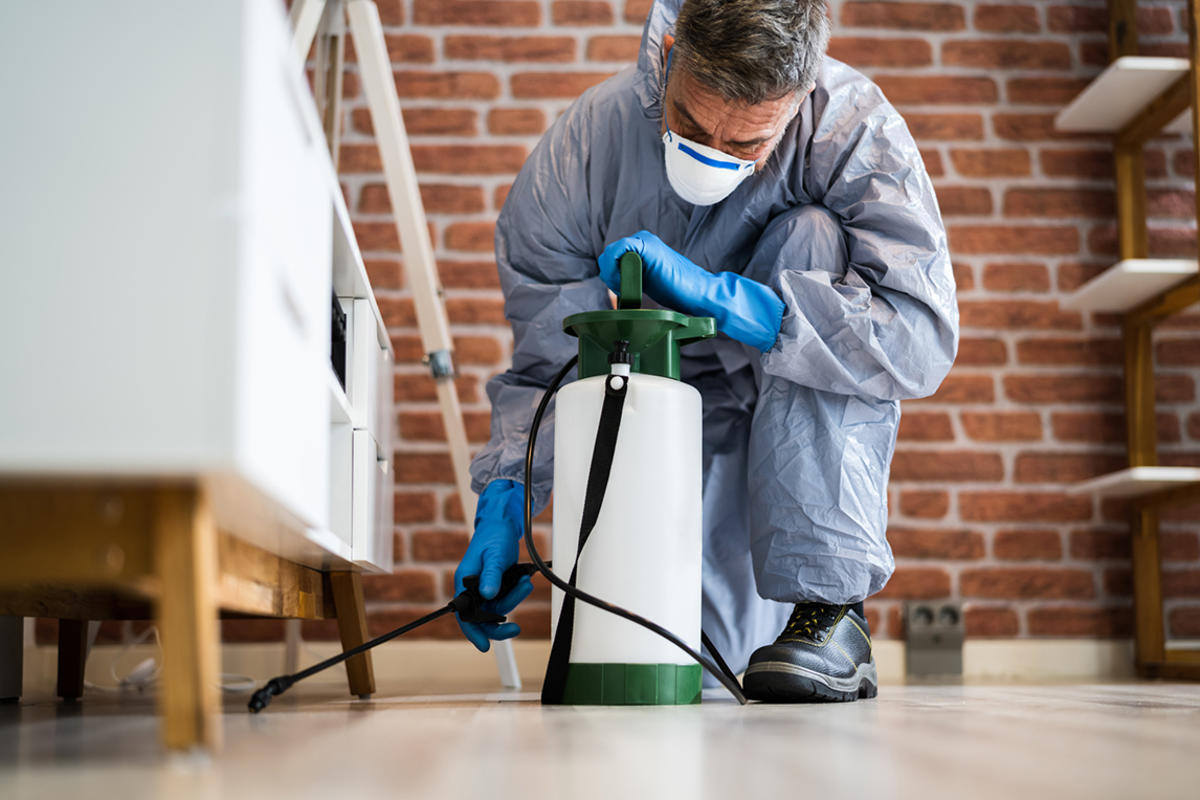 Pest Control Services in Killeen TX
