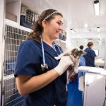 Veterinary Services: Best Quality Care for Your Pet