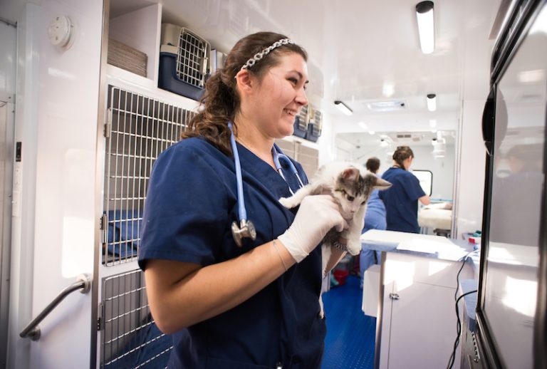 Veterinary Services: Best Quality Care for Your Pet