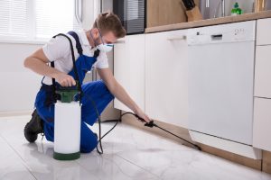 Effective Residential Pest Control Services in Odessa, TX: How to Find a Reliable Provider
